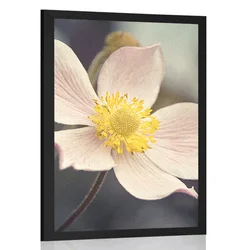 Plakat nežnost rože - 30x45 no frame
