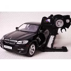 Pertini Rastar auto na daljinsko upravljanje BMW X6 1:14 31400 (11792)