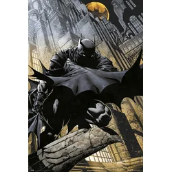 DC Comics PLAKAT DC COMICS BATMAN GARGOYLE, (20837012)