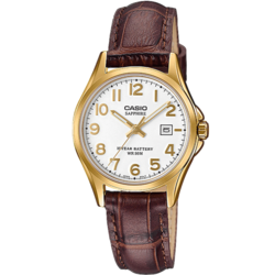CASIO LTS-100GL-7AVEF