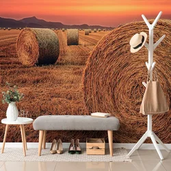Fototapeta bale sena - 147x99