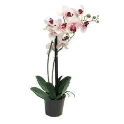 Dekordom Cvet u saksiji orchid 50cm 51344-7 - pink - nnt ( 040064 )