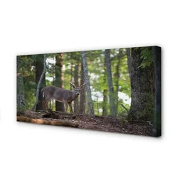 tulup.si Slika na platnu Jelen gozd 100x50 cm