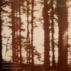Cindytalk - The Wind Is Strong... (Limited Edition) (Marble Smoke Coloured) (LP)