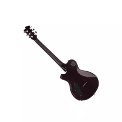 FUJIGEN EFL-HM/HD EXPERT FLAME HERITAGE DARKBURST