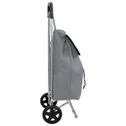Kolica za kupovinu Siva 35 x 28 x 92 cm Oxford tkanina