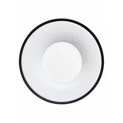 Led Plafonjera R-A46 36w