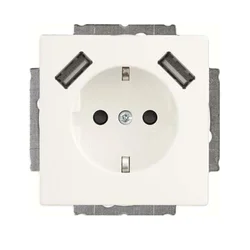 Busch-Jaeger Busch-Jaeger SCHUKO-2x vtičnica USB 20 EUCB2USB-884, (21041243)