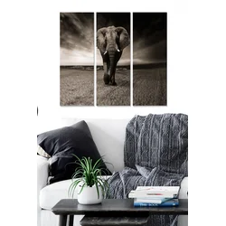 Set slika Wallity MDF2870777, 3 dijela