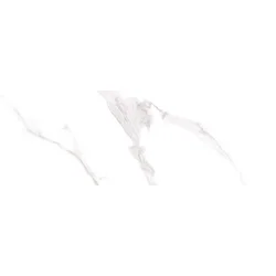 LENOX WHITE BRILLO