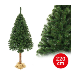 Božićna jelka na panju 220 cm jela