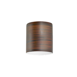 EGLO 90255 - Stakleni abažur MY CHOICE za sijalicu E14, prečnika 7 cm, braon