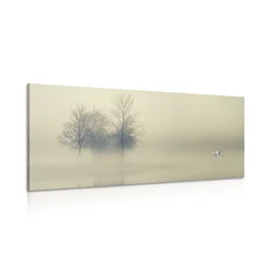 Slika drevesa v megli - 100x50