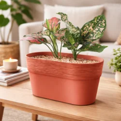 Saksija furu case 27,5cm bakar