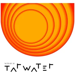 Tarwater - Nuts Of Ay (LP)