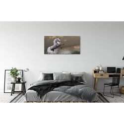tulup.si Slika na platnu Unicorn vrh 100x50 cm