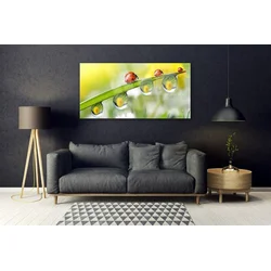 tulup.si Slika na steklu Leaf ladybugs narava 140x70 cm 4 obešalnika