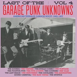 Various Artists - Last Of The Garage Punk Unknowns Vol 4 (LP)