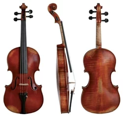 Viola Germania 11 Model Praga Gewa