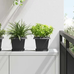 Kvadratna saksija za cvijeće 24 pcs Crna 20 x 20 x 16 cm