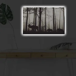 Wallity Slika sa LED osvetljenjem 4570DHDACT-080, 45x70 cm