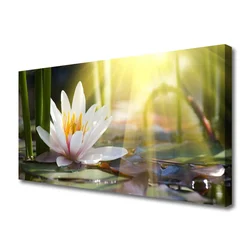 tulup.si Slika na platnu Sun water lily pond 140x70 cm