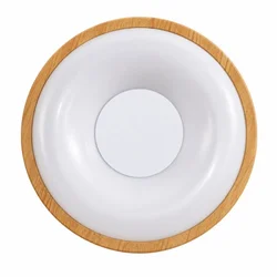 Led Plafonjera R-A48 36w ( 5093 )
