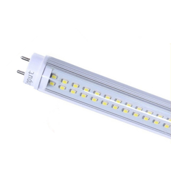 Led Neonka 1.5M Transparentna