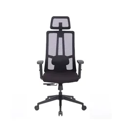 Ergovision Ergonomski pisarniški stol Eiffel Lite
