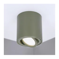BRILAGI - Spot svetiljka MIA 1xGU10/30W/230V 84x80 mm tamno zelena