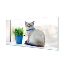 tulup.si Steklena slika Sedi mačka 100x50 cm 4 obešalnika