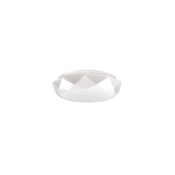 LED plafonsko svetlo za kupatilo SELINA LED/12W/230V IP44