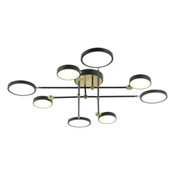LED plafonska lampa F2036-60C BK+SG