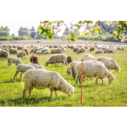 Mreža za ovce (105cm - 50 M) sa jednostrukim vrhom