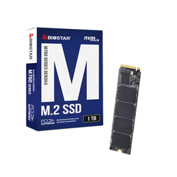 SSD M.2 NVME 1TB Biostar 2800MBs/1700MBs M760