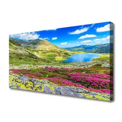 tulup.si Slika na platnu Top bay travnik narava 100x50 cm