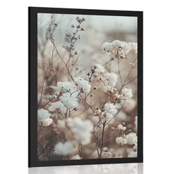 Plakat rastlina bombaža - 40x60 white