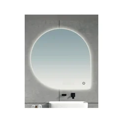 Brilagi - LED ogledalo za kupatilo RICADI LED/19W/230V 60x60 cm IP44 CRI 90 prigušiva + CCT