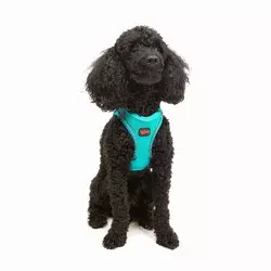 Paws & Whiskers Am za pse Air-Mesh, Svetloplavi