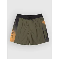 Quiksilver Everyday Holmes Volley 16 Kids kopalne hlače grape leaf holmes