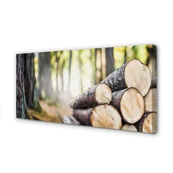 tulup.si Slika na platnu Les gozd narava 140x70 cm
