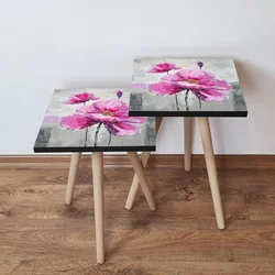 Hanah Home Set klub stočića 2Shp298, 2 komada, Šareni