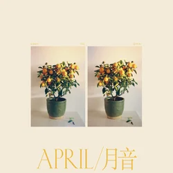 Emmy The Great - April/?? (LP)
