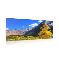 Slika čudovita narava na Kamčatki v Rusiji - 60x30