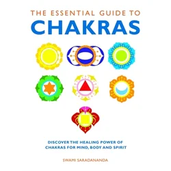 Essential Guide to Chakras