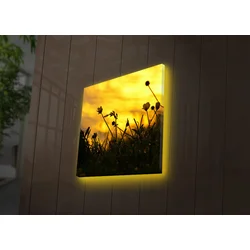 Zidna slika sa LED osvetljenjem 4040DACT-52, 40x40 cm