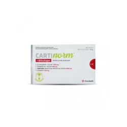 GOODVILL Cartinorm + biokolagen
