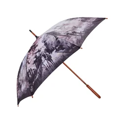 Deznik Avtomatsko odpiranje UMBRELLA AND MORE 103 cm Mesta 3
