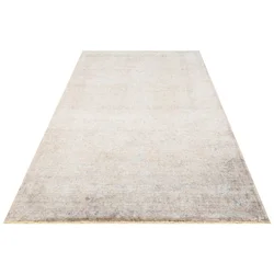 Conceptum Hypnose Tf 02 - Beige MinkGrey Carpet (170 x 240)