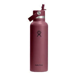 Thermal-insulating bottle, stainless steel, 620ml, Standard Straw, B